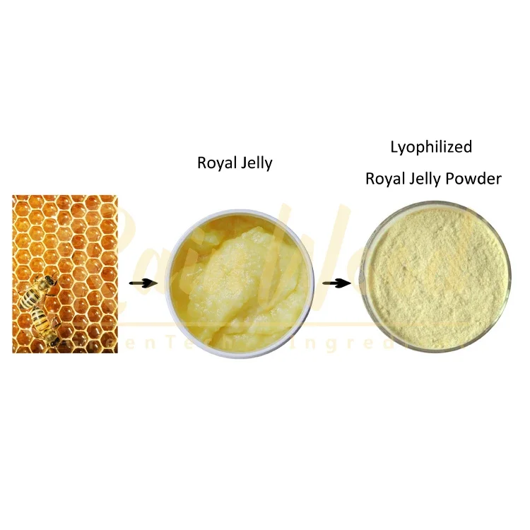 High Quality Food Grade Fresh Royal Jelly 100% Natural Lyophilized Royal Jelly With 6% 10-HDA Lyophilized Royal Jelly Powder