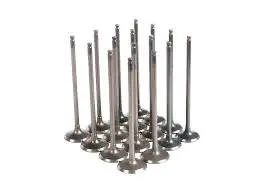 F 6L 913 BF 6L 913  BF 6L 913 C TURBO  High Performance 3371762  2137300  4153696  Exhaus Engine Valve