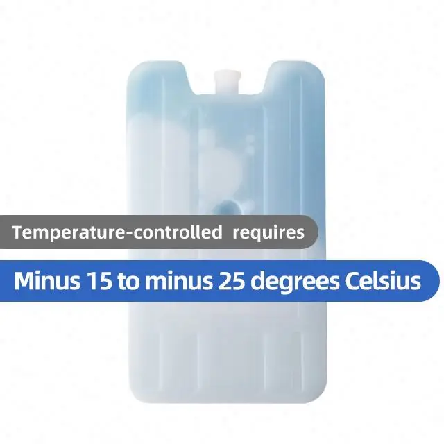 Promotional Food Shipping reusable mini Plastic ice brick freezer Ice Boxes