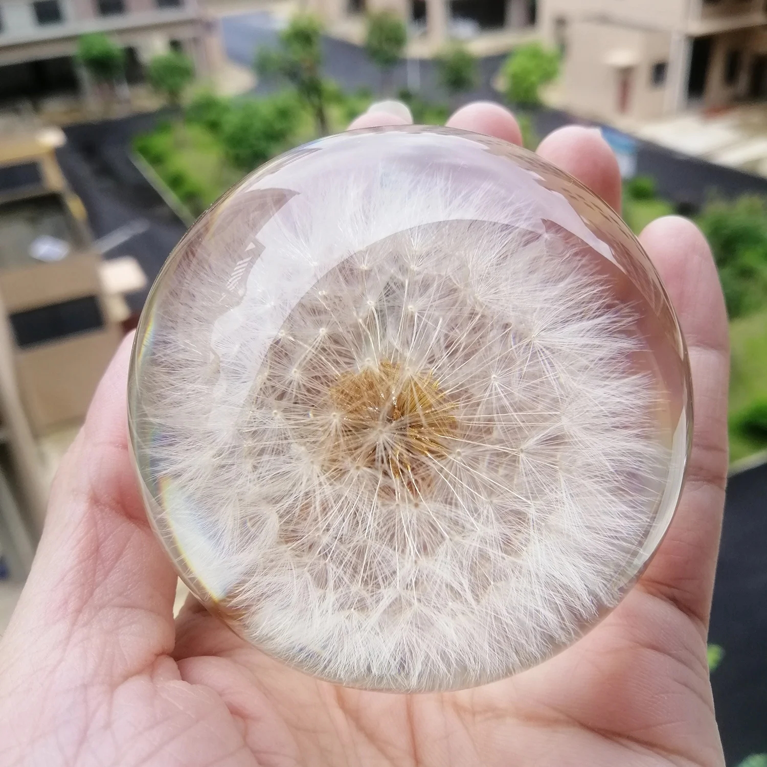 Unique Novelty Gift White Dandelion Paperweight Hand made Resin Globe Floral Crafts Valentine Festival Gift