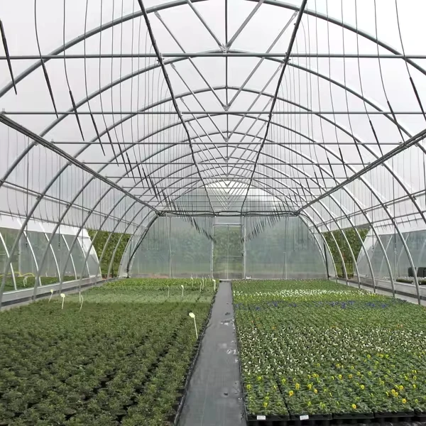 CHOYUEH Low cost tunnel film greenhouse for growing strawberry