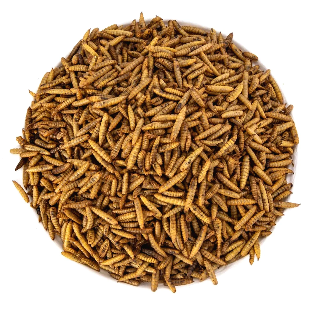 Factory Direct Human Breeding Dried Black Soldier Fly Larvae pet feed great for Wild birds, sugar gliders, fish, reptiles
