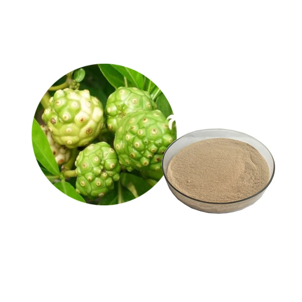 Noni Fruit Powder Morinda Citrifolia Extract Morinda Citrifolia Linn Extract Powder
