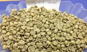 Organic 100% natural Washed Arabica S16 premium quality Vietnamese coffee beans competitive price