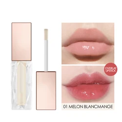 Long Lasting Moisturizing Brighten Lip Oil Smooth Glitter Texture Lip Gloss Wholesale Customization