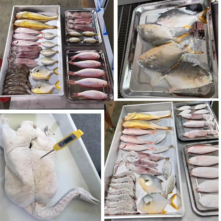 Промышленный производитель замороженные морепродукты и овощная обработка Морозильный