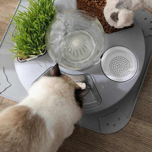 Durable China Professional Manufacture  multi-function  feeding bowl