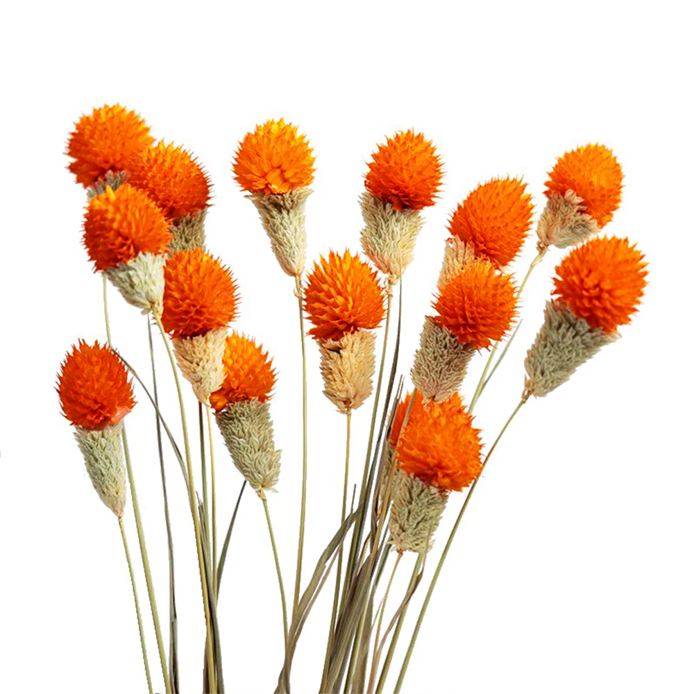 dry wedding flowers for cards dried flower handmade resin earrings Yunnan real diy dried flowers bouquet assorted