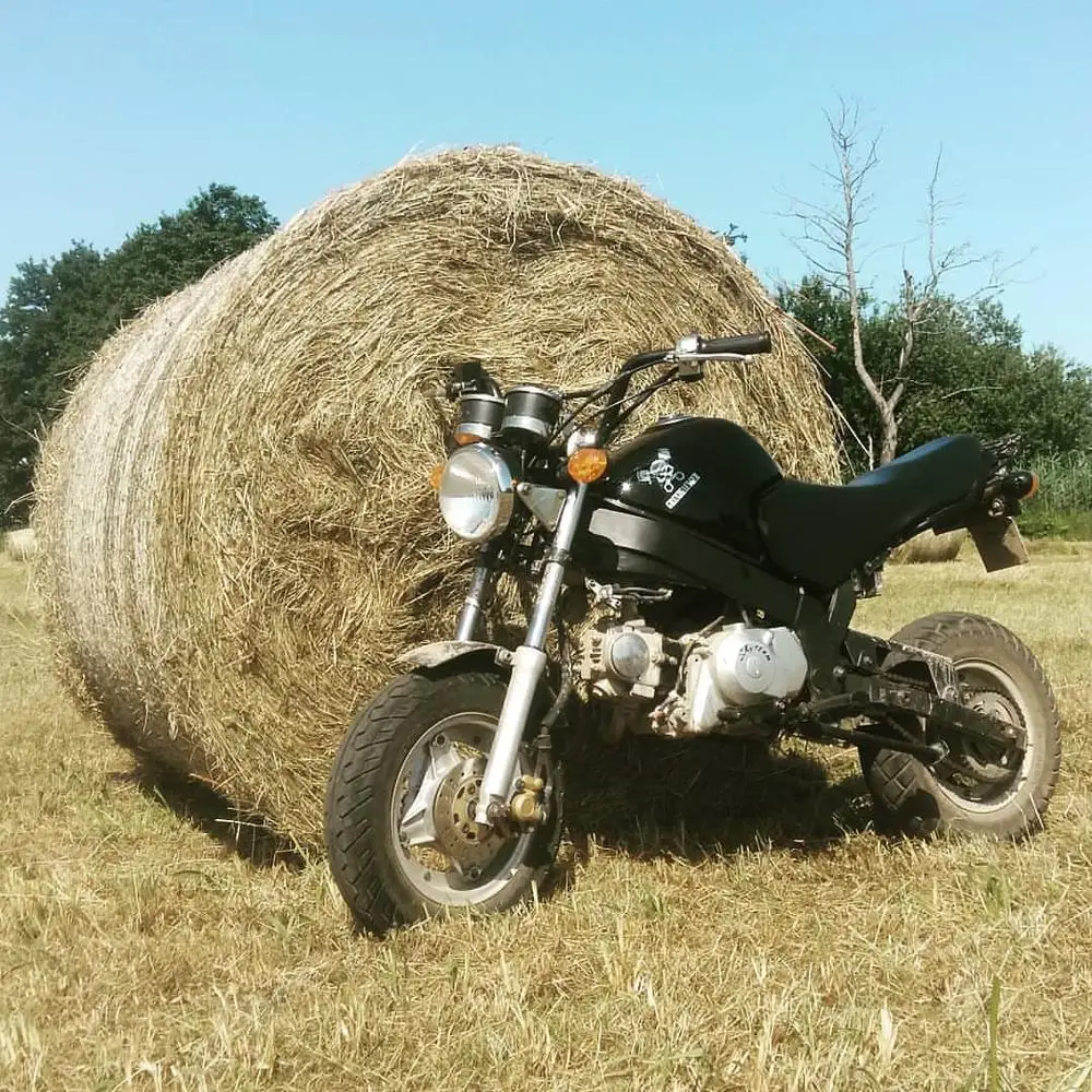 
ON SALE (big discount): SKYTEAM 125cc PBR Monkey R bike Monkey R motorcycle cafe racer style 