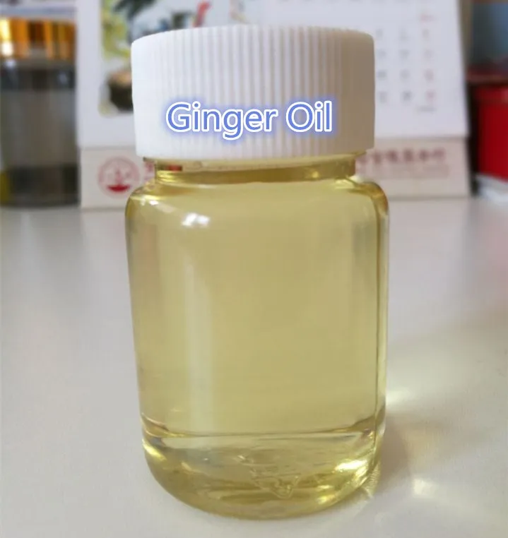 ginger essential oil producer,ginger oil professional factory