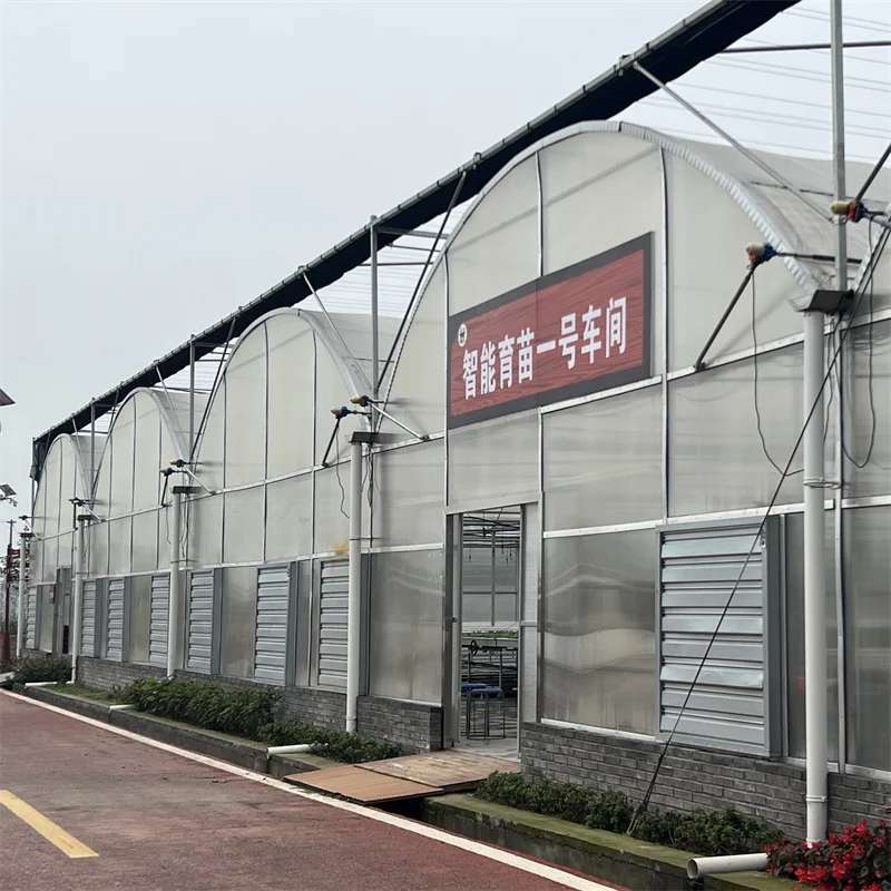 Wire Mesh Rolling Benches Galvanized Steel Structure Multi-span Greenhouse Agricultural Greenhouse Polycarbonate Kit For Plants