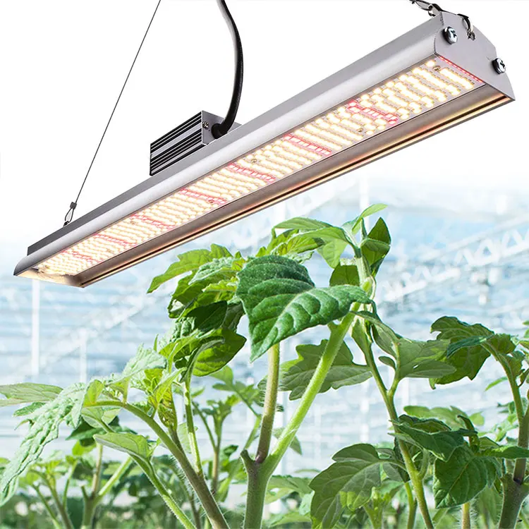 SINJIAlight Free Shipping 260W Full Spectrum Pre-Assembled Led Grow Light For Growers And Retailers