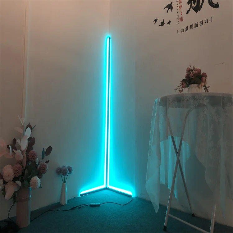 Western minimalist style RGB Colorful with remote control DC12v nordic led floor lamps standing corner