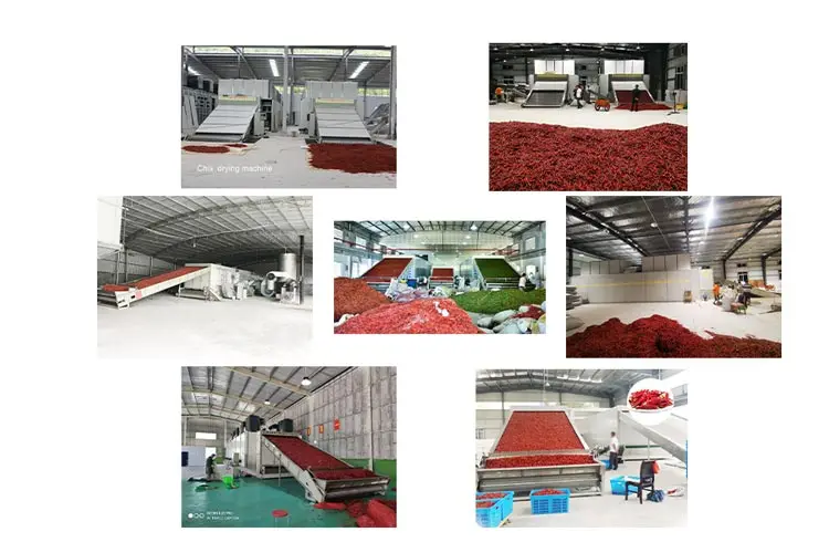 chili--drying-machine