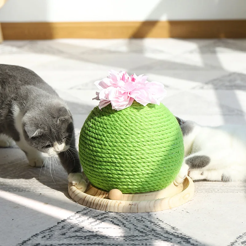
2019 New Cat Scratcher Place Catnip Sisal Cat Scratching Post Ball 