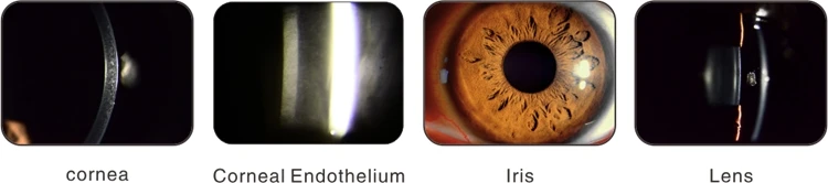 Top Quality 5 Steps With Adaptor Slit Lamp For Ophthalmology