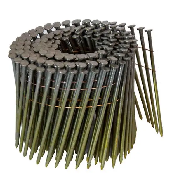 coil nails frame pallet high quality factory supply electro-galvanized plastic top umbrella roofing nails hot sale hot dipped