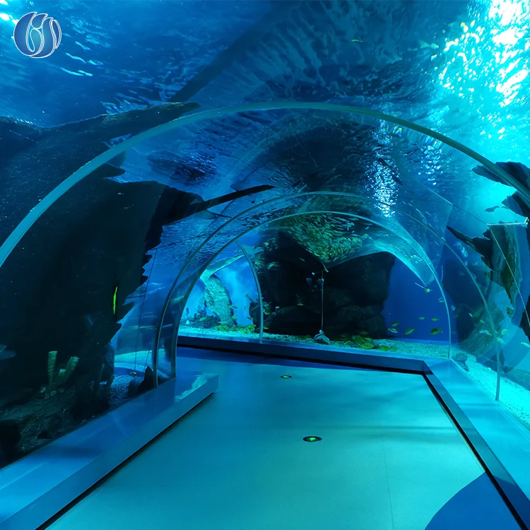 Lesheng Large-scale entertainment facilities construction acrylic lazy river tunnel with high light import material