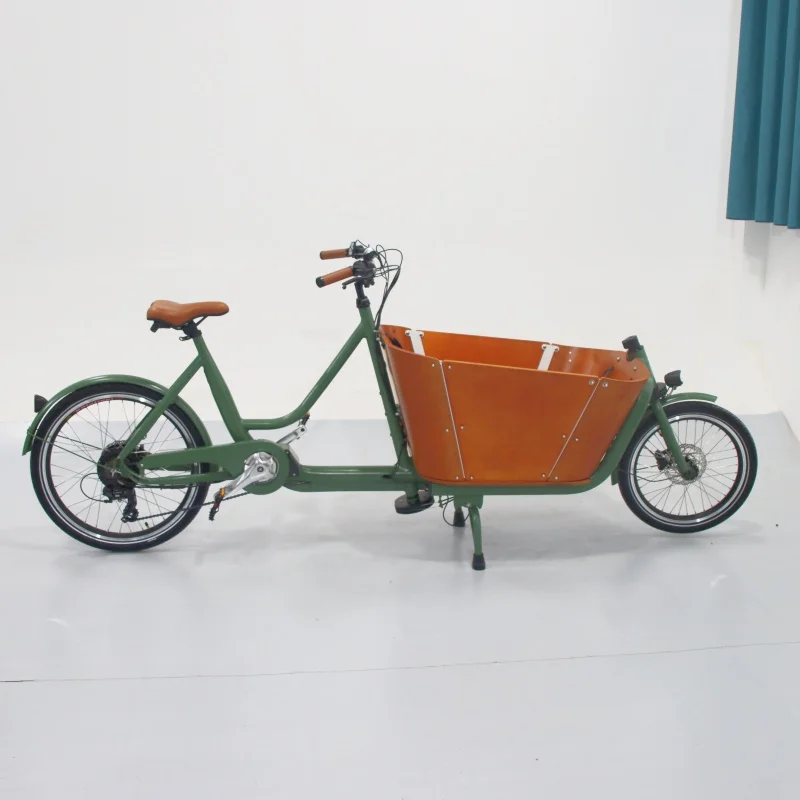 Electric Cargo Bikes 2 wheels cargo bike electric ebike e-cargo family e bicycle Cargo Bafang M600 M620  Motor