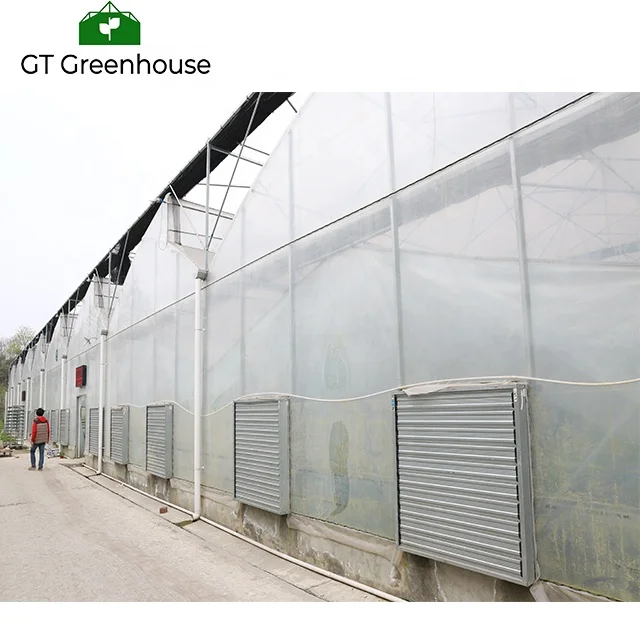 Snail Farming Agriculture Types 5th Generation Greenhouses Commercial Green House