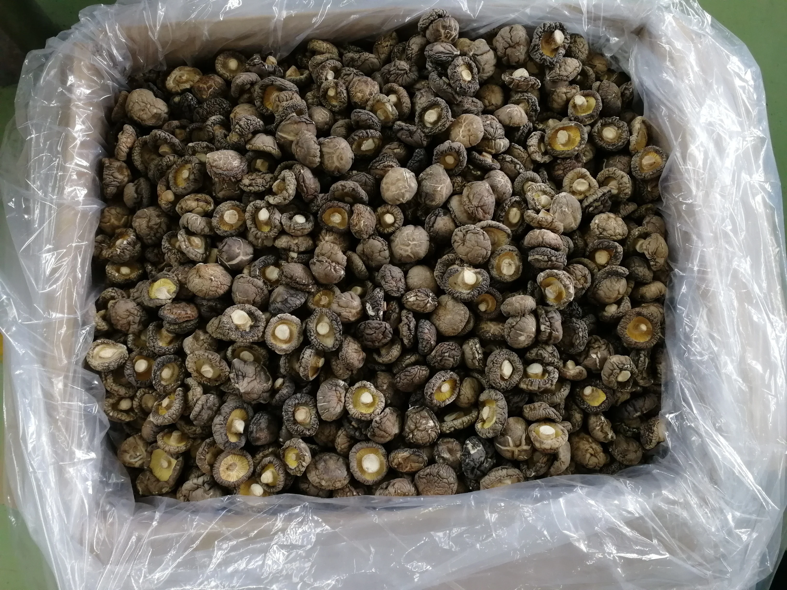 Wholesale dried shiitake dehydrated mushroom price