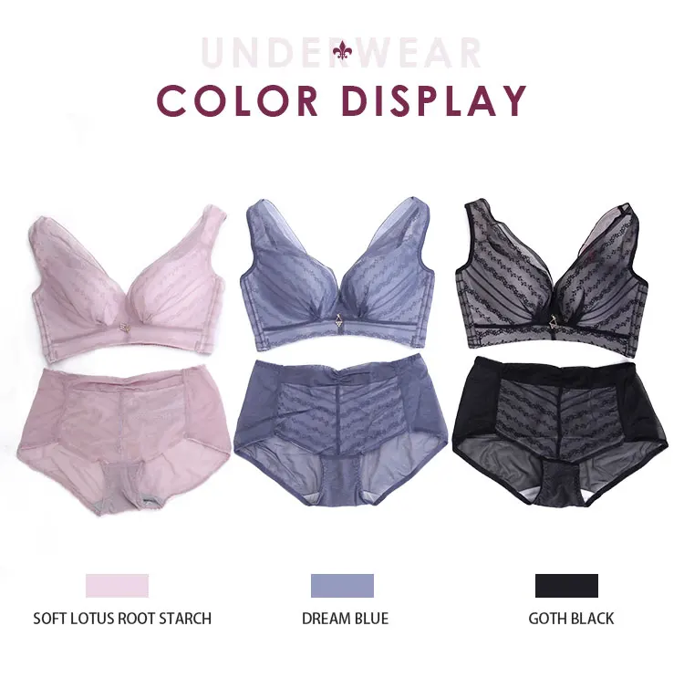 Exquisite Floral Mesh Transparent Women Sexy Bra and Panty Sets Luxury