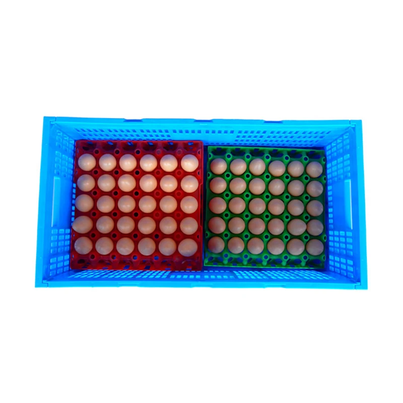 Customized Pe Plastic Incubator Egg Tray Plastic Quail Egg Tray And Poultry Egg Tray Incubator For Sale