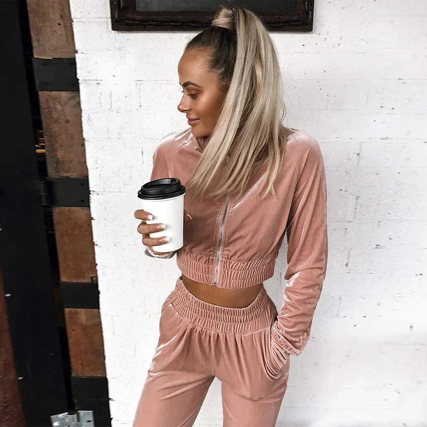 Wholesale Custom Womens velvet 2 pieces set cropped pants set Latest Sport Plain women pink Velour Tracksuit