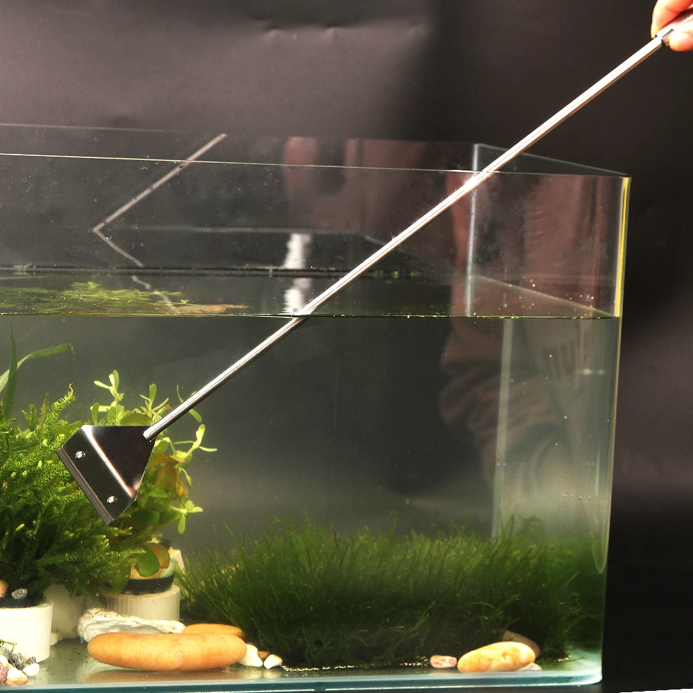 2024 Aquarium Equipment Plants Plant ating Accessories For Aquariums And Fish Tank