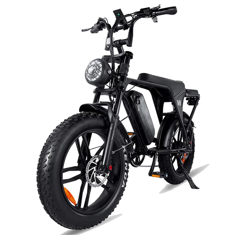 20 Inch 750w Fat Bike E-Bike Ebike V8 Fat Tyre E Bike Fatbike Electric Bike Fat Tire Wheel Bicycle