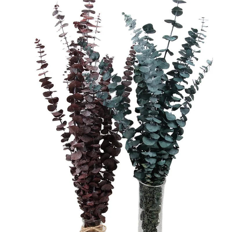 wall decoration white dried plants eucalyptus leaves wreath flower garland preserved flowers dried preserved