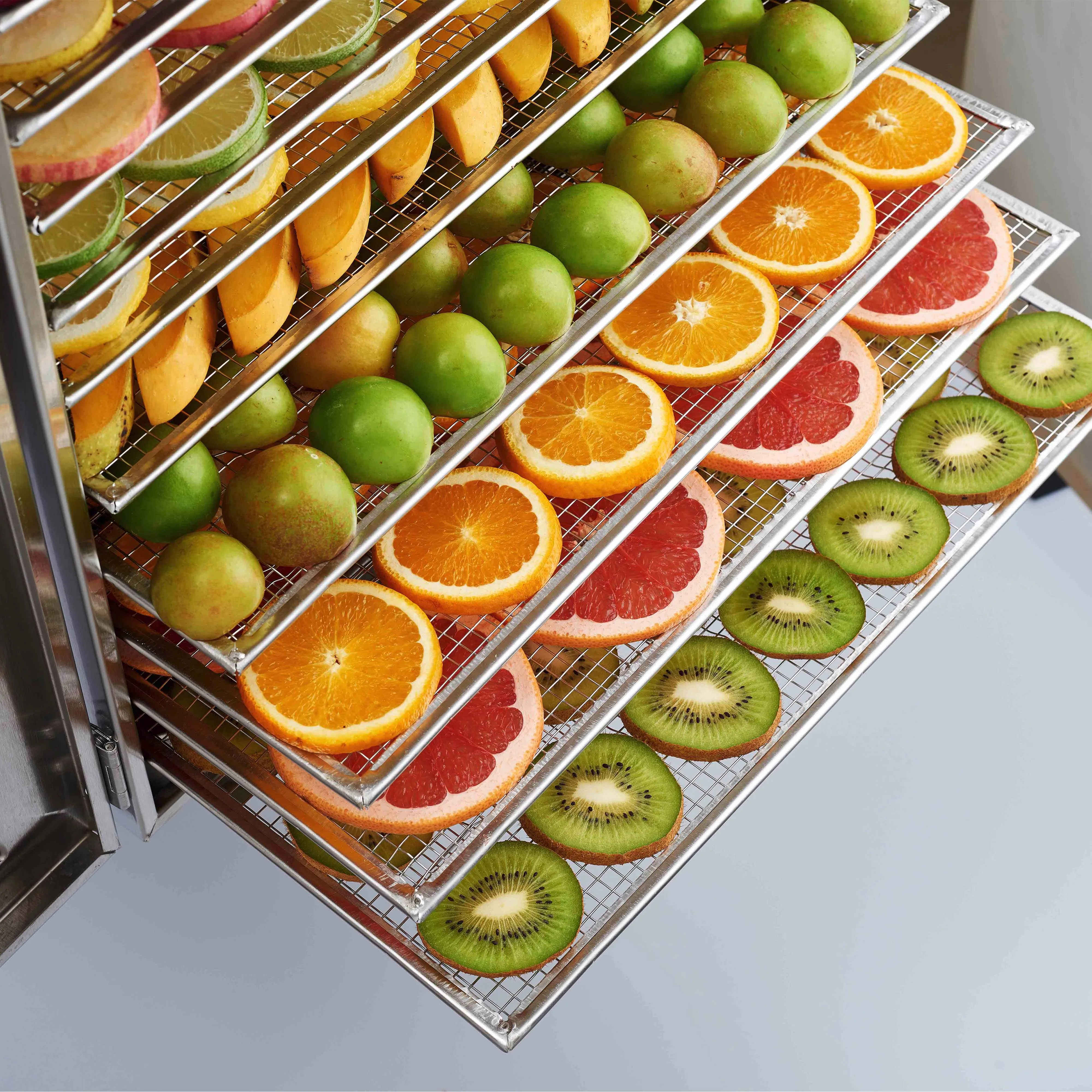 
Manufactory Wholesale wholesale food dehydrator vegetable dryer tomatoes fruit dryer machine for sale 