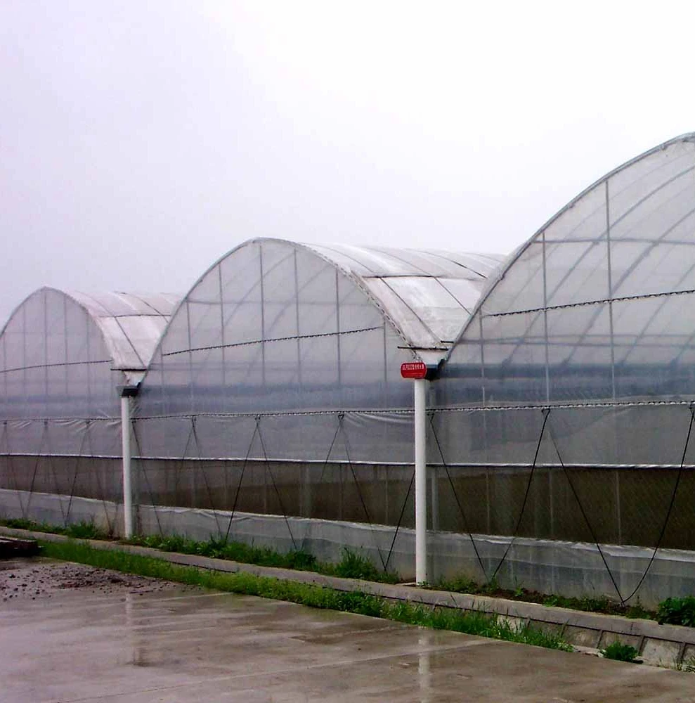 
hydroponic greenhouse multi-span green house agriculture other greenhouse automatic ventilation tropical greenhouse 