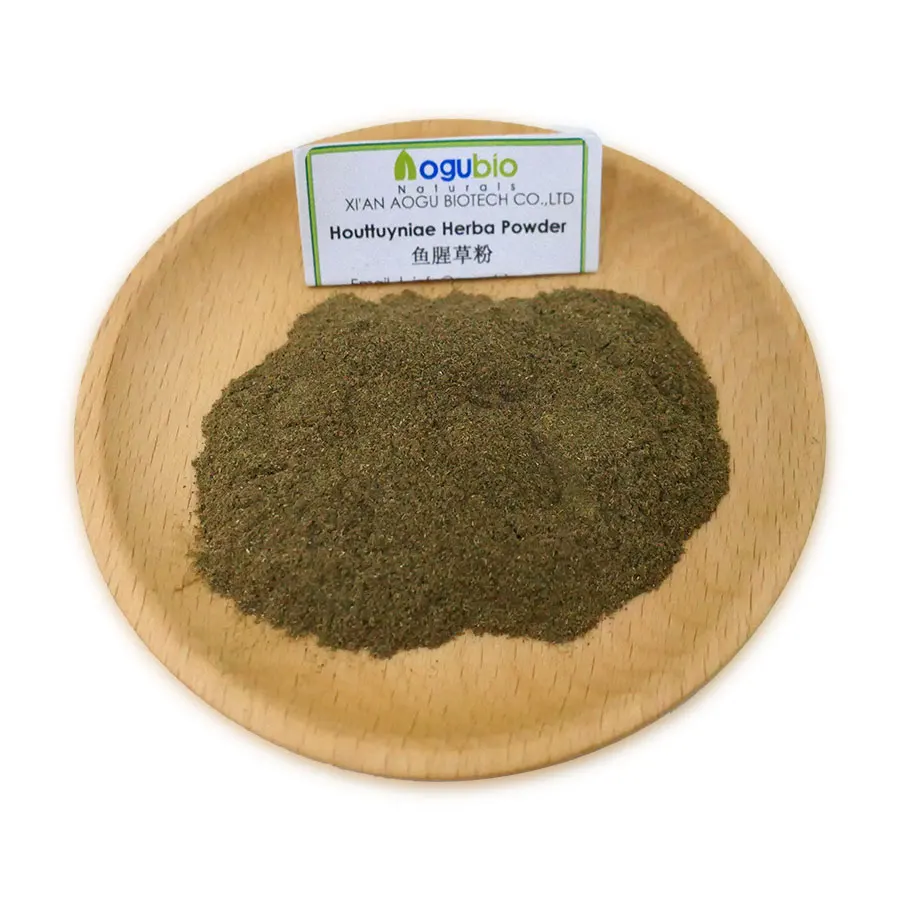 Natural Traditional Herb Houttuynia Cordata Extract 10:1 Plant Houttuynia Cordata Extract Powder