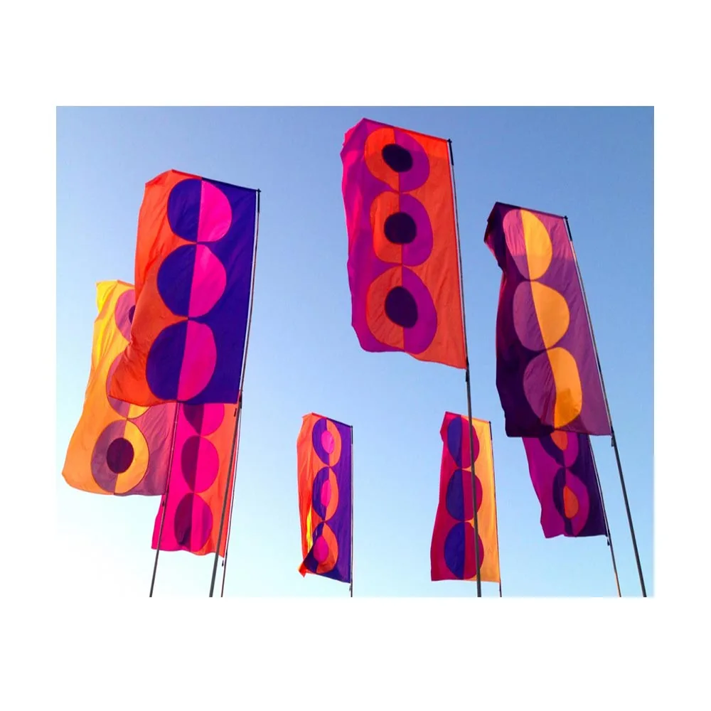 Factory Promotion 100% Polyester Outdoor Decoration Colorful Banner Custom Festival Flag