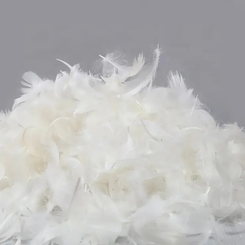 Multi-channel Washing Process to Wash Pure White Natural White Duck  Feather for Cheap Sale