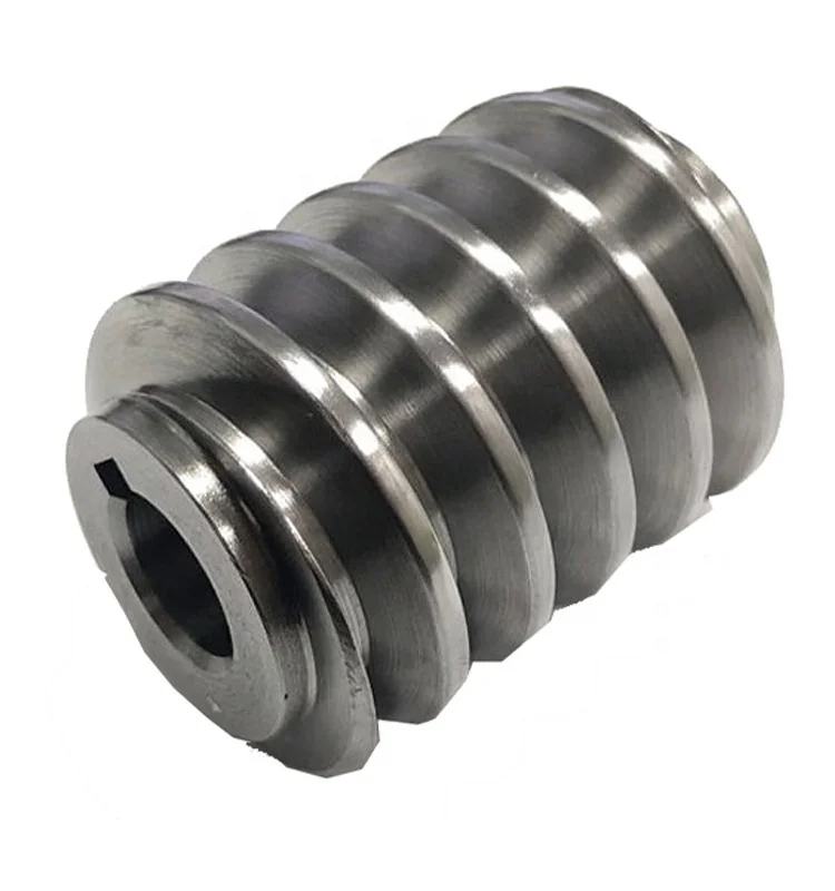 OEM Custom CNC Machining Stainless Steel Worm Gear Shaft