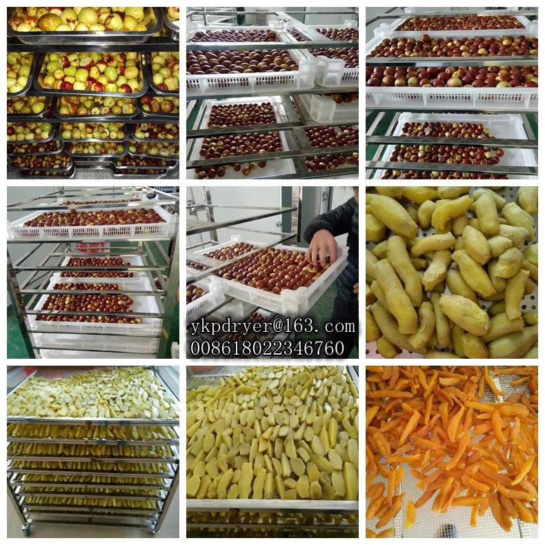 factory direct sale avocado drying machine drying all kinds of food fruit drying oven