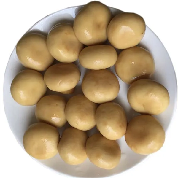 Canned whole botton mushroom champignon mushroom 425g