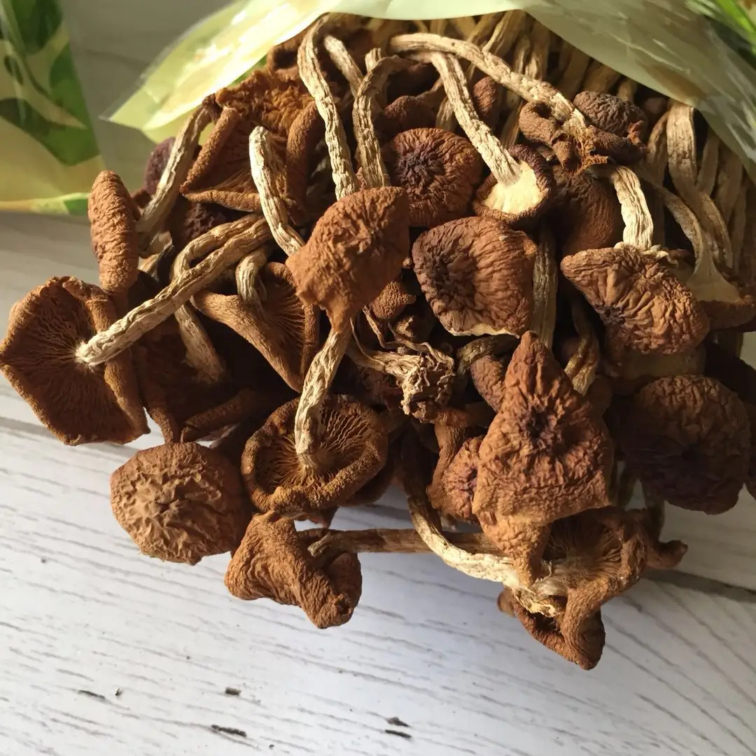 Detan Prices for Dry Royal Chestnut Wholesale Mushroom