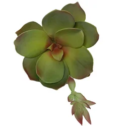 Packaging Customization Succulent Artificial Mini Sale Latest Artificial Plants