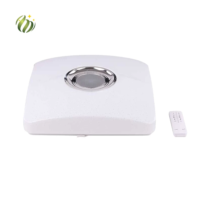 Surface Mounted Smart LED Remote Control Ceiling Lights Changeable Color CCT Music LED Ceiling Lamp For House Using