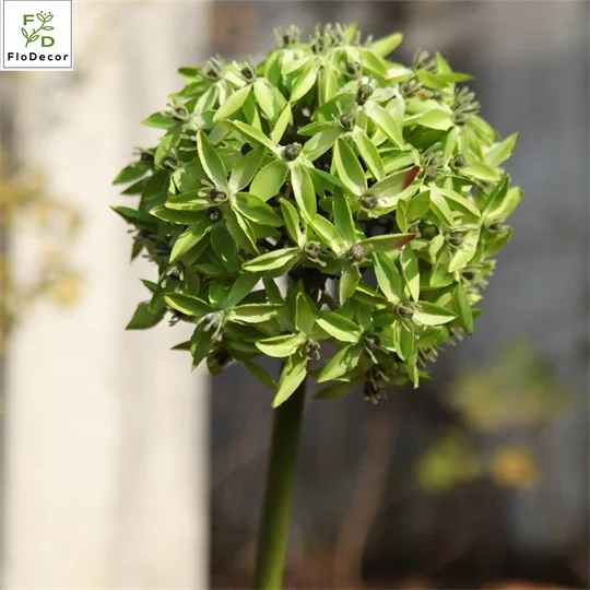 Высококачественный гигантский Одноместный Шелковый цветок белый зеленый синий красный для украшения свадебного домашнего стола