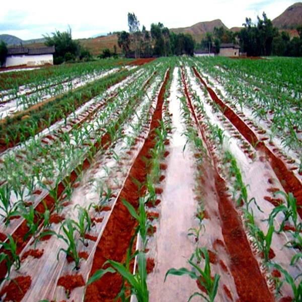 mulch film plastic mulch greenhouse plastic