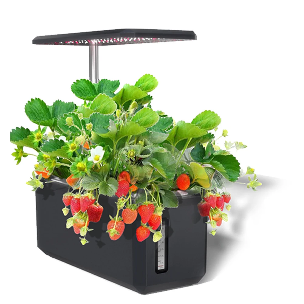 mini smart herb garden kit indoor morden hydroponic growing system with 6 Plant pods