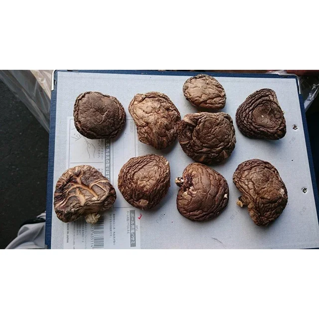 
healthy longevity Whole Raw best price export Wild dried shiitake mushroom stem 