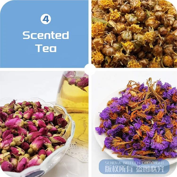 6Kg DIY Cheap Commercial Instant Coffee Dates Food Flower Lyophilizer Freeze Drier