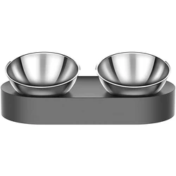 Nonslip Elevated Dog Cat Stainless Steel Bowls 15 Tilted Raised Cat Food and Water Bowls