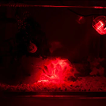 LED air stone for aquarium equipment