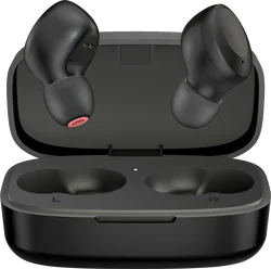 Factory Price IPX8 Waterproof True Bluetooth 5.0 Wireless Charging Box Bluetooth Earphone